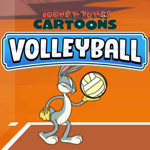 Looney Tunes Cartoons Volleyball Game